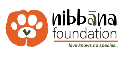 nibbāna-foundationfin_Primary H